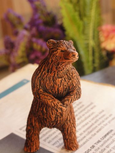 MaddingtonBear's profile picture. Wanders and wonders. Working for change with @DemocracyCenter and @BriMigSol.