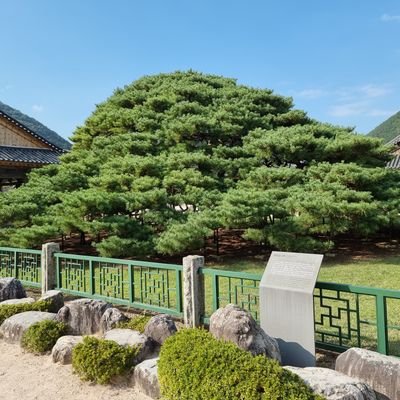 사람 사는 세상 사람이 먼저다
대한민국 다음 대통령님은
이낙연님이 ㅡ필승 대구시민ㆍ
새미래민주당 모든분들이 성공하시기를 진심으로 응원합니다 힘내세요