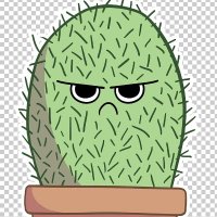 serious cactus(@seriouscactus5) 's Twitter Profile Photo