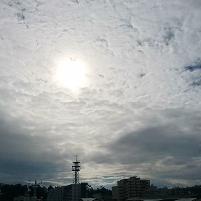 ry05_mofu_lc's profile picture. 漫画好き。ラジオと音楽とアニメとドラマ色々好き。