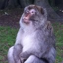 Chris Tague - @christague17 - Twitter