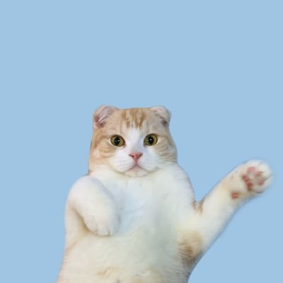 tubuaaan_'s profile picture. 猫/日常ツイート/DDR(no bar)