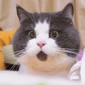 Ena__Master's profile picture. 短发控 丝袜控 靴控 足控腿控 🥹瘾大