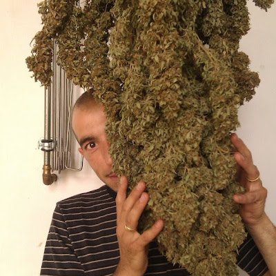 GobTwist's profile picture. $pkn