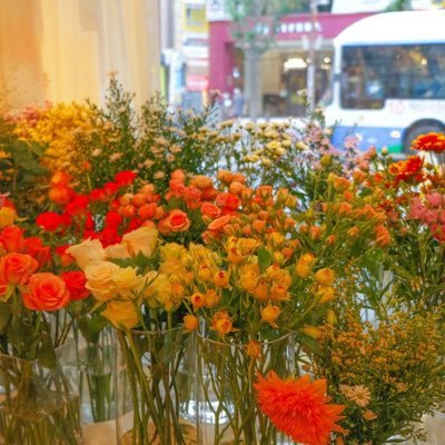 hhhhalpha's profile picture. 