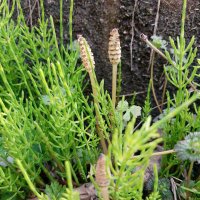 さえき (@kitomo_1015) Twitter profile photo