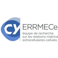 ERRMECe (@errmecelab) 's Twitter Profile