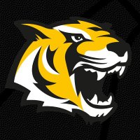 Tigers Tübingen (@tigerstuebingen) Twitter profile photo