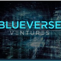 Blueverse Ventures (@blueverse7) 's Twitter Profile