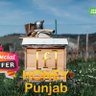 fbarlounge's profile picture. Fn agri mustard oil, F honey Punjab, food products, farmer & fpo member, Ludhiana, Kharar, Mohali, Barnala, Ropar.