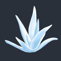 Nouvelle (@nouvellenft) 's Twitter Profile