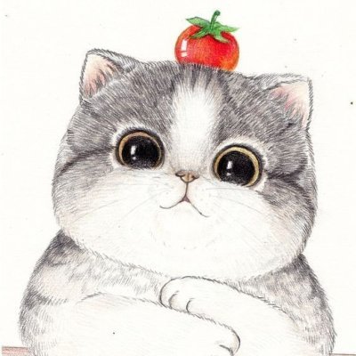 seazon's profile picture. 