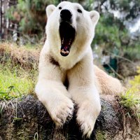 The Zookeeper (@mattpriceff) 's Twitter Profile