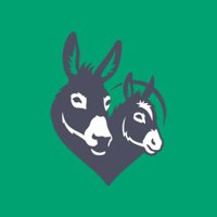 The Donkey Sanctuary Ireland (@donkeysancire) Twitter profile photo