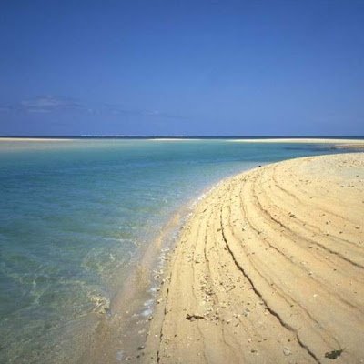 dtdulare13's profile picture. 