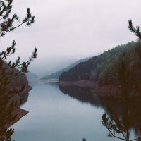 anxela (@collar____bones) 's Twitter Profile Photo