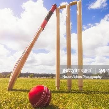 Play cricket