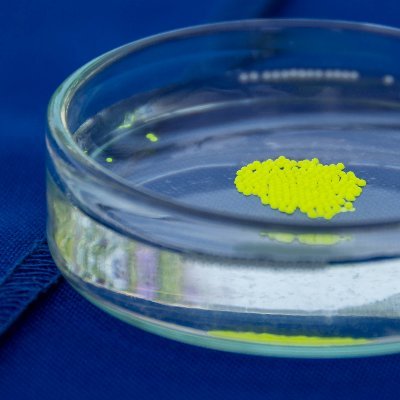 AUChemSciences's profile picture. The Department of Chemical Sciences, Ariel University