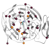 Biocatalysis & Protein Engineering Virtual Meetups (@biocat_meetups) 's Twitter Profile Photo Biocatalysis & Protein Engineering Virtual Meetups (@biocat_meetups) 's Twitter Profile Photo