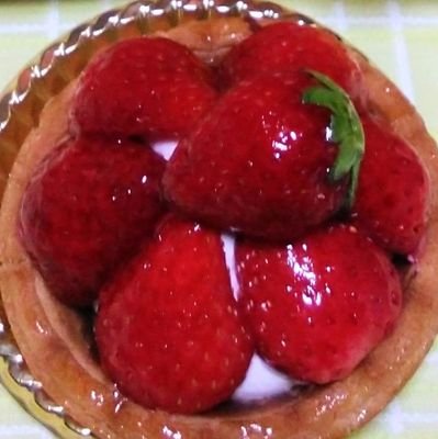 ケイシー〖PGF楽しく応援し隊〗さんのプロフィール画像