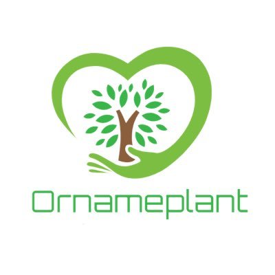 Producción y comercialización de planta ornamental