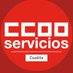Sección Sindical CCOO-Cualtis (@cualtisccoo) Twitter profile photo
