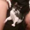 BicharracoZ's profile picture. 