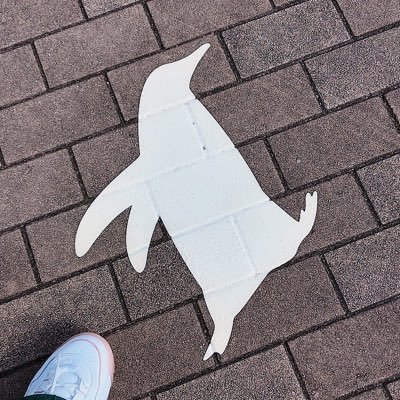 オコジョ🎾終さんのプロフィール画像