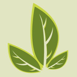 werbepflanzen's profile picture. 