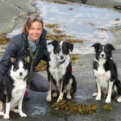 PackOnSkye's profile picture. West Africa born; lived all over from Catford to Kenya, Helsinki to Hebrides//

Hope not hate* 
(*makes exception for racists & fascists)//