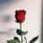 5BS_Sanjana's profile image
