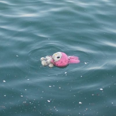 chaenffl0115's profile picture. 여기 내 메모장/채른/네? 개연성이요?