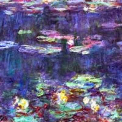 LSoufir's profile picture. Médecin anesthésiste réanimateur