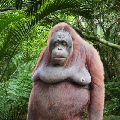 Itbelik68577068's profile picture. 