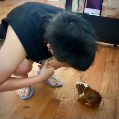 rachelqxl929's profile picture. game designer