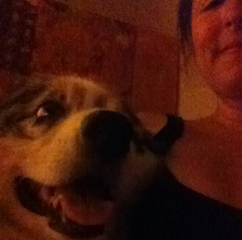 bethlaham's profile picture. I love black licorice, playing outside, fish, and taking care of business.