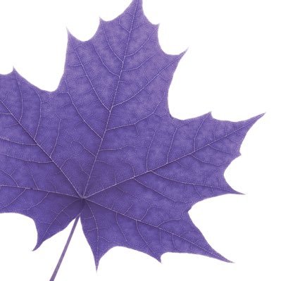 Official Wilfrid Laurier University Site for Laurier International | Global Engagement | LEAF Program