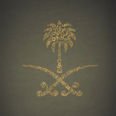 Da7oom797's profile picture. 