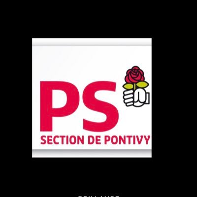 PartiPontivy Profile Picture