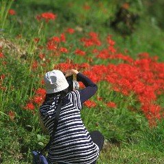 kirnhf's profile picture. Famous TikToker