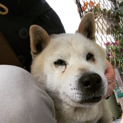 おでこについてる黒いシミは何 Lefthands Store Twitter