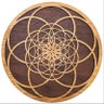 WilksAbram's profile picture. A “spiritually” inspired psychotherapist and crypto enthusiast. Helping the collective recognize, adapt to, and change maladaptive patterns = thrive ⚛️ WAGMI