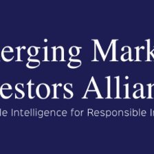 The Emerging Markets Investors Alliance is a 501(c)(3) not-for-profit organization supporting good governance in emerging markets.