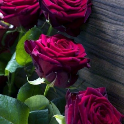 AboYman91427739's profile picture. 