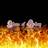 Banda Flame of Glory's Twitter (X) avatar