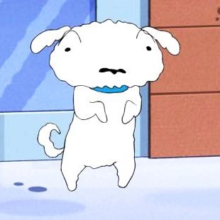 yokohamanohachi's profile picture. 