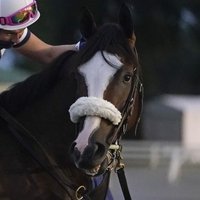 peeg (@_comet19_) 's Twitter Profile