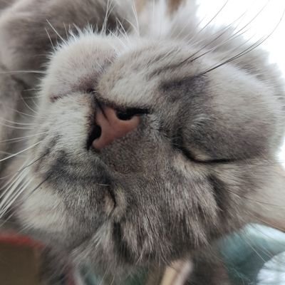 JumpTanva's profile picture.