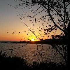 lmalonkn's profile picture. Dutch