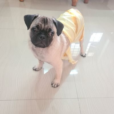 Ayyapzz's profile picture. Keep moving..💙